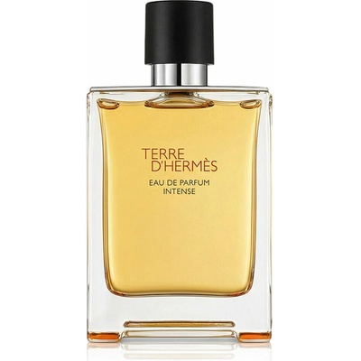 HERMÈS Terre d’Hermès Intense parfémovaná voda pánská 175 ml