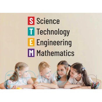 Image 1 of Stem - дизайнерски стикер за стена (1646)