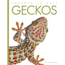 Geckos Riggs Kate