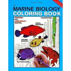 Marine Biology Coloring Book | Thomas M. Niesen, Wynn Kapit, Carla J. Simmons, Lauren Hanson (ISBN: 9780062737182)