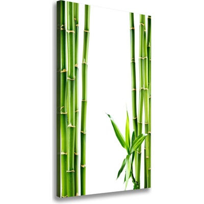 Vertikálny moderný fotoobraz canvas na ráme Bambus 50x100 cm