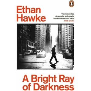 A Bright Ray of Darkness (ISBN: 9781529156409)