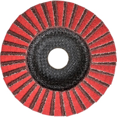 Pferd Vejárovitý brúsny kotúč 125 x 22.23 mm 44695112 5 ks
