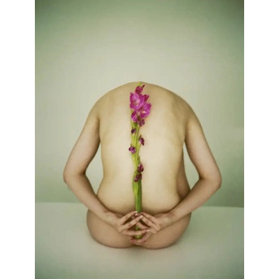 Fotografie - Kaźmierczak, Rafał: Květinový zen - reprodukce obrazu