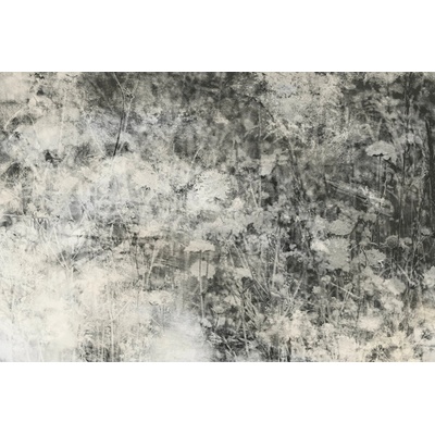 DIMEX MS-5-0361 vliesová fototapeta rozměry 375 x 250 cm