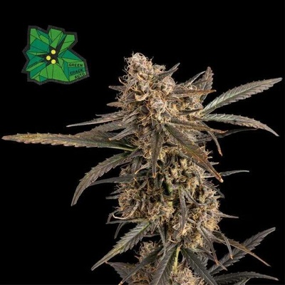 Seedsman Green Crack Auto semena neobsahují THC3 ks