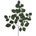 LIST FICUS ZELENÝ 55cm