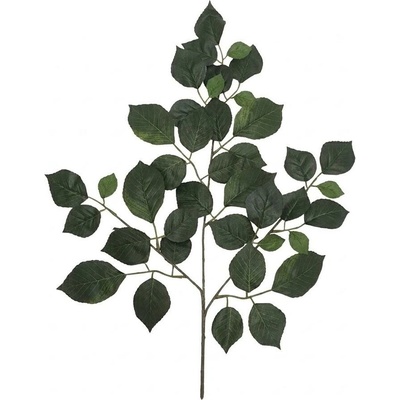 LIST FICUS ZELENÝ 55cm