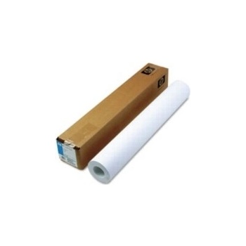 HP C6029C