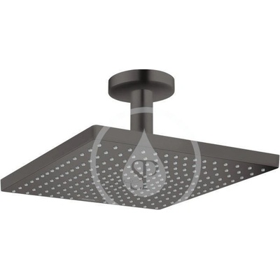 Hansgrohe Raindance 26250340