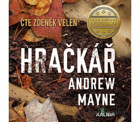 Hračkář - Andrew Mayne