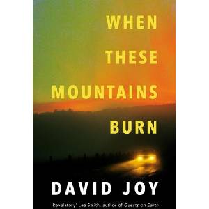 When These Mountains Burn | DAVID JOY (ISBN: 9780233006505)