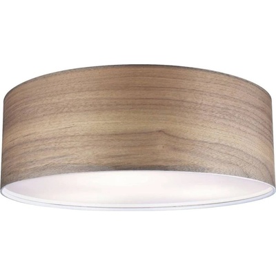 Paulmann Neordic Liska 79687