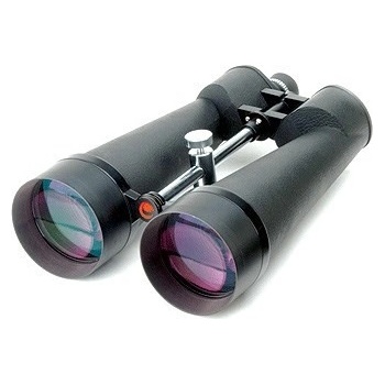 Celestron Skymaster 25x100