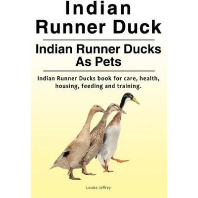 Indian Runner Duck. Indian Runner Ducks As Pets. Indian Runner Ducks book for care, health, housing, feeding and training. | Louise Jeffrey