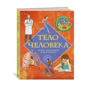 Тело человека. Атлас анатомии в картинках | Элеонора Барсотти (2025)