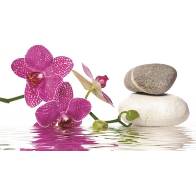 ForWall Fototapeta Spa stones with orchid papier 254 x 184 cm