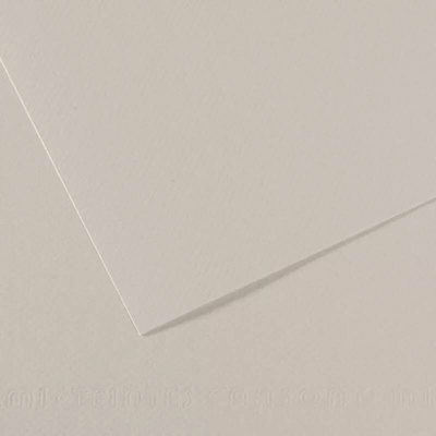 Canson Mi-Teintes barevný papír 21 x 29,7 cm A4 48 odstínů 120 Pearl Grey