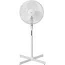 ECG FT 40a