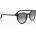 Ray-Ban Слънчеви очила Ray-Ban RB2204 black/light grey