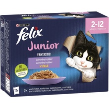 Felix Fantastic Junior lahodný výber 12 x 85 g