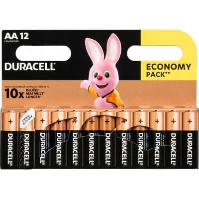 Duracell Basic 12ks AA 42305 – Zboží Mobilmania