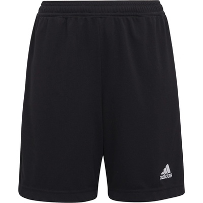 adidas Ent22 tr shoy 164