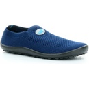 Leguano Leguanito Scio modré