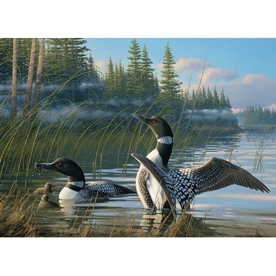 Cobble Hill Common Loons 1000 dielov