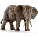 Schleich Slon africký samica