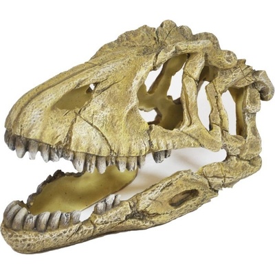 Happet Lebka dinosaura 17 cm