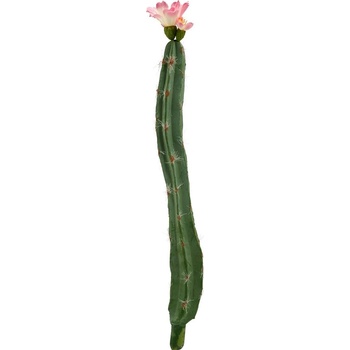 Butlers FLORISTA Kaktus - zelená/růžová