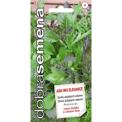 ŠALÁT LISTOVÝ azíjská zmes Elegance