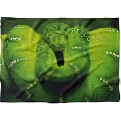 Impar fleece deka Zelený had Podšití beránkem NE 200x140