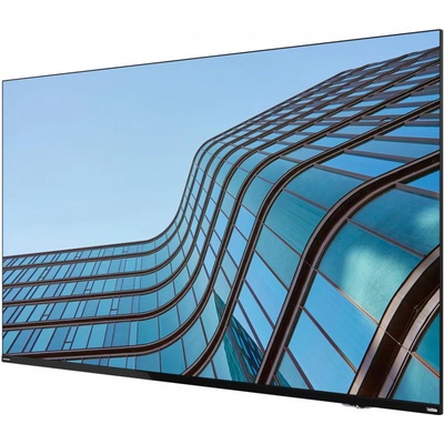 Lenovo ThinkVision E55