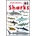 Mad About Sharks