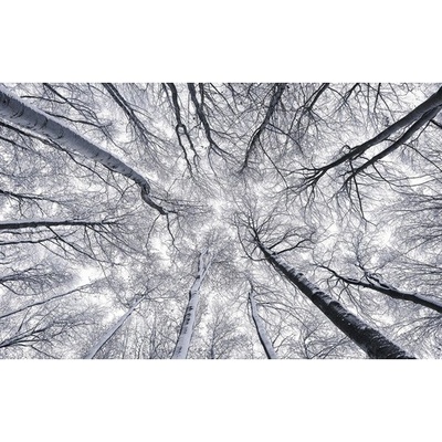 SH081-VD4 Fototapeta vliesová Up 4-dílná rozměry 400x250 cm