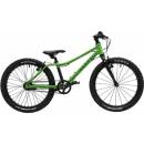 Rascal 3sp Archer 2026