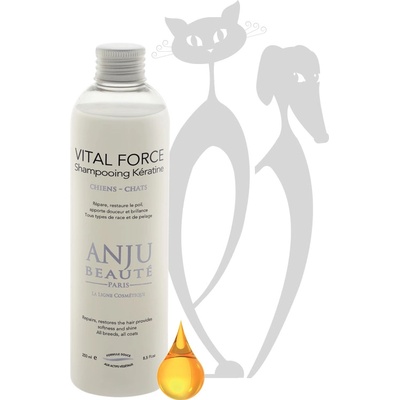 Anju Beauté Vital Force regenerační s keratinem 500 ml
