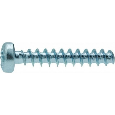 Skrutka do plastu valcová hlava-pozdriv 4x16 pozink