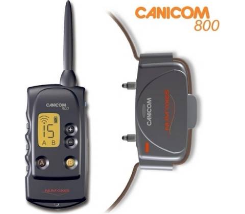 Num´Axes Canicom 800