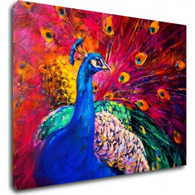 Impresi Obraz Barevný páv - 70 x 50 cm