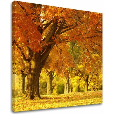 Obraz na stenu STROMY - 30x30 cm