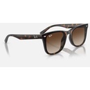 Image 1 of Ray-Ban Havana RB4420 710/13