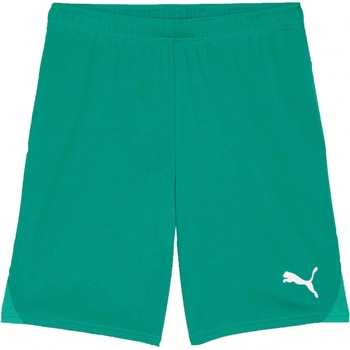 PUMA Teamgoal shorts xxl