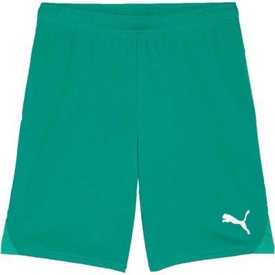 PUMA Teamgoal shorts xxl