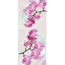 ForWall Fototapety na dvere Orchid 2 vlies 91 x 211 cm