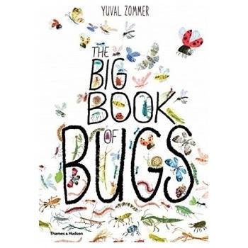 The Big Book of Bugs - Yuval Zommer, Barbara Taylor - Hardcover