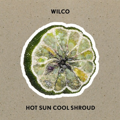 Wilco Hot Sun Cool Shroud 1 CD