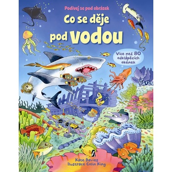 Co se děje pod vodou